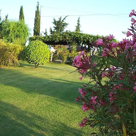 Agriturismo Il Grillo Parlante-2